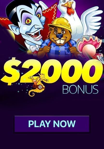  Best Slots {YEAR} -  Promo Coupons -  Free Casino Chip